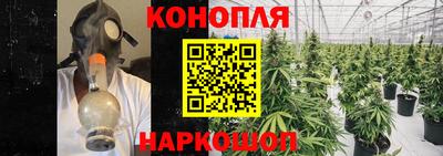 прущие крисы Коммунар