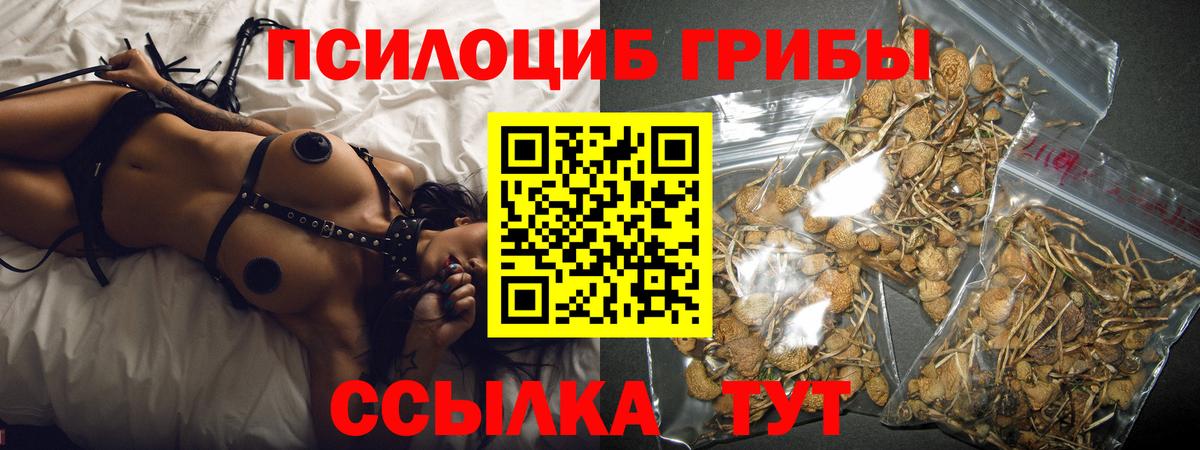 Ишимбай  Галлюциногенные грибы ЛСД  наркотики  Вход с VPN 